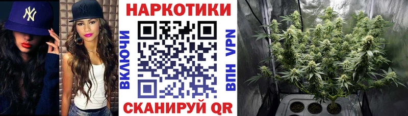 Альфа ПВП Лагань