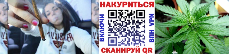 Купить где  Лагань  Бошки Шишки сатива 